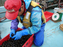 画像をギャラリービューアに読み込む, 【北海道】しじ美シリーズ&おだしセット_RH09