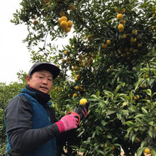 画像をギャラリービューアに読み込む, 【湘南】湘南ゴールドエナジー 1ケース(30本)_RH06