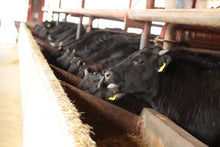 画像をギャラリービューアに読み込む, 【北海道】知床牛生ふりかけ&特上すき焼きセット(肩ロースすき焼き500g・ふりかけ100g)_RH05