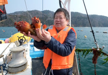 画像をギャラリービューアに読み込む, 【東北】ほやほやセット_RH12