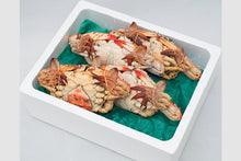 画像をギャラリービューアに読み込む, 【東北】石巻港直送!!! 蒸し渡り蟹(冷凍)1.5kg(4~7ハイ)_RH13