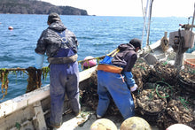 画像をギャラリービューアに読み込む, 【東北】三陸牡蠣のカンカン焼きセット_RH14