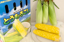 画像をギャラリービューアに読み込む, 【北海道】佐藤農場のスイートコーン ケース(10本入り)_RH28