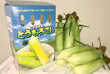 画像をギャラリービューアに読み込む, 【北海道】佐藤農場のスイートコーン ケース(10本入り)_RH28