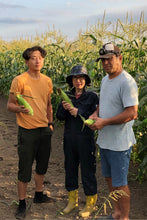 画像をギャラリービューアに読み込む, 【北海道】佐藤農場のスイートコーン ケース(10本入り)_RH28