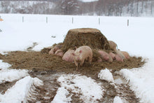 画像をギャラリービューアに読み込む, 【北海道】恵庭産「こな雪とんとん」しゃぶしゃぶ用スライス肉_RH16