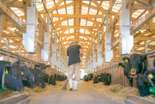 画像をギャラリービューアに読み込む, 【九州】黒毛和牛ホルモンミックス 約1.0㎏_RH17