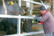 画像をギャラリービューアに読み込む, 【九州】黒毛和牛ホルモンミックス 約1.0㎏_RH17