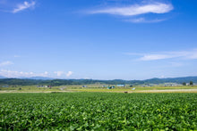 画像をギャラリービューアに読み込む, 【北海道】黒千石事業協同組合 黒千石特選セット_RH23