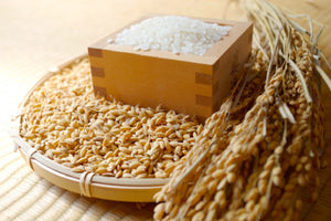【北海道】令和2年産特別栽培米ふっくりんこ[農薬90%減]5kg_RH31