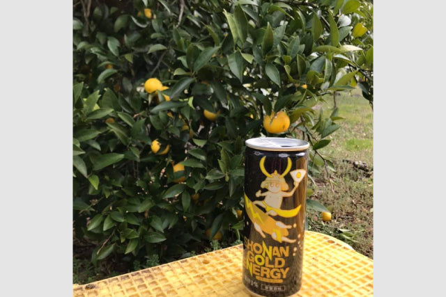 湘南】湘南ゴールドエナジー 1ケース（30本）_RH06 – Rescue Hero